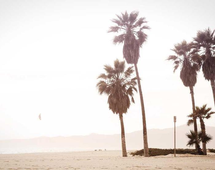 Pega tu conversación y analiza al instante