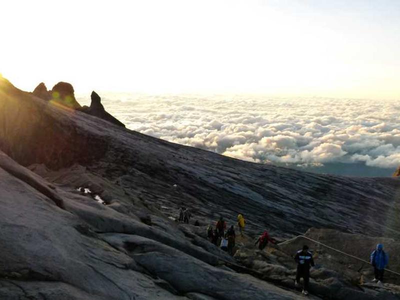 Simplifica tu protección